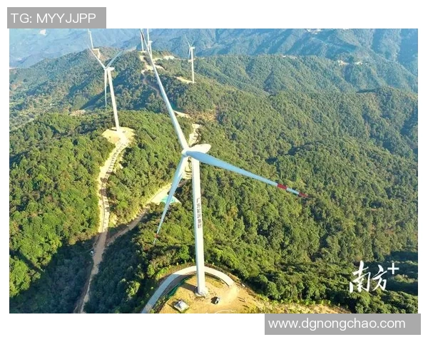 河北新能源滑雪场落成助力绿色冬奥愿景实现推动可持续发展与生态保护
